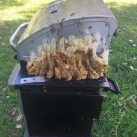 Bee swarm on the side of a grill
